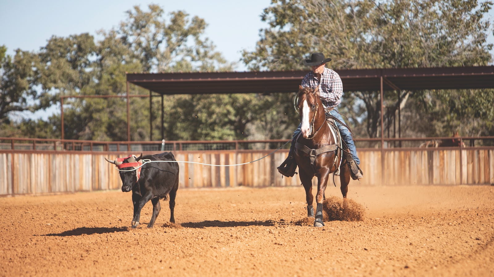 Dustin Rogers will often rope a steer and dally but not stop to keep the horse free and eliminate anticipation of the stop. Photography by Kailey Sullins