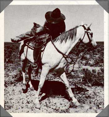 IL Ranch