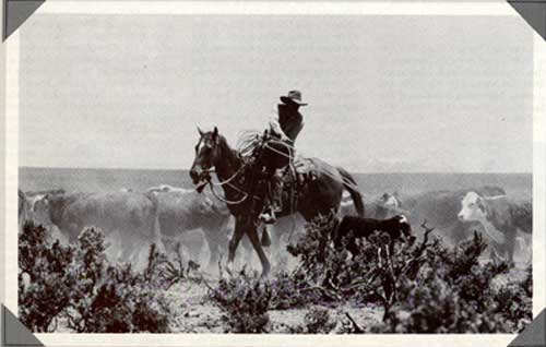 IL Ranch