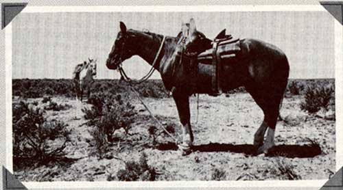 IL Ranch