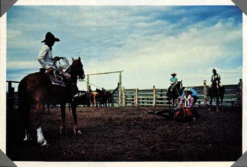 IL Ranch