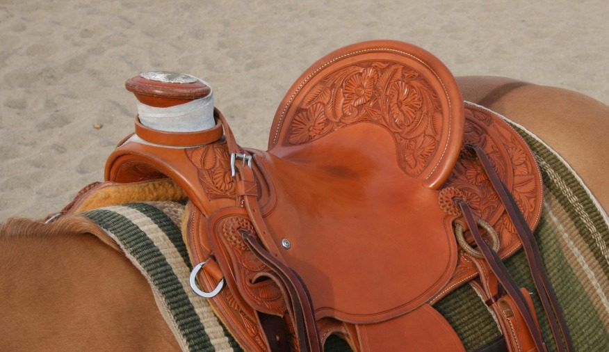 saddle fit roundtable