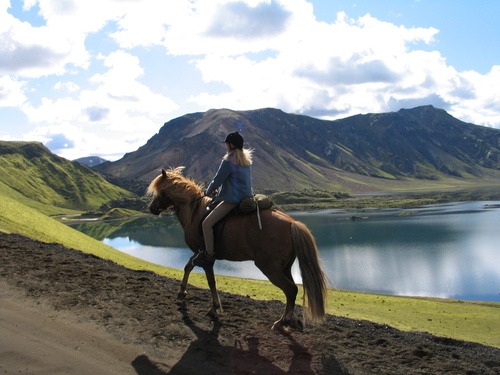 Icelandic saddles are similar to english saddles and ridden with long stirrups