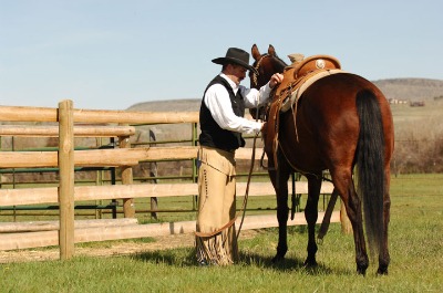 No-Fences Clinic - Western Horseman