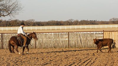 Kory Pounds working a cow horseback
