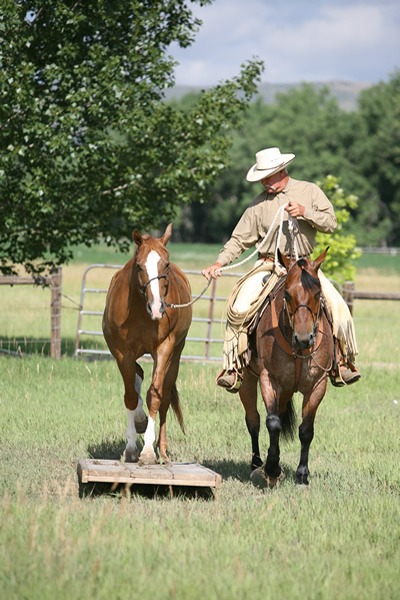 Ponying over an obstacle.