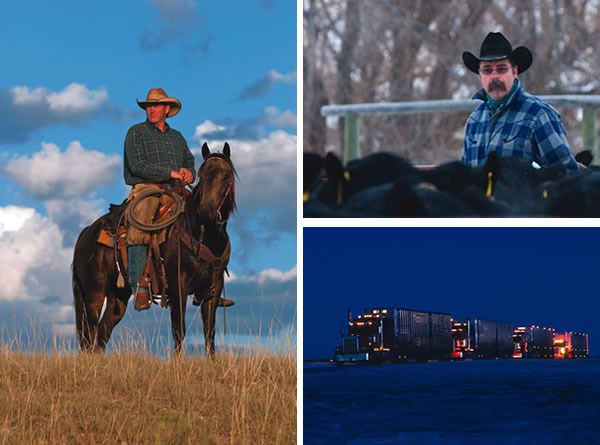 Clockwise from left: Kraig Sweeney sits on Tumbleweeds, one of the five geldings he selected to send to Russia.*Darrell Stevenson sorts cattle for shipment in Montana.*A truck convoy lines up to take cattle to the Chicago airport.