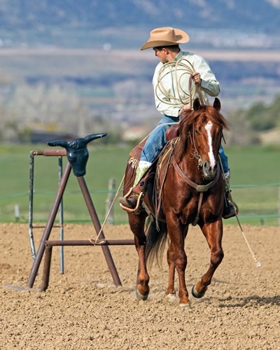 Pulling a roping sled gives Ralston's horses another job. Pulling a roping sled gives Ralston's horses another job.