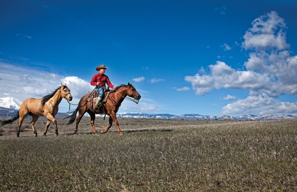 Ponying a horse serves multiple purposes, giving the saddled horse a job and providing low-stress exercise to the second horse.