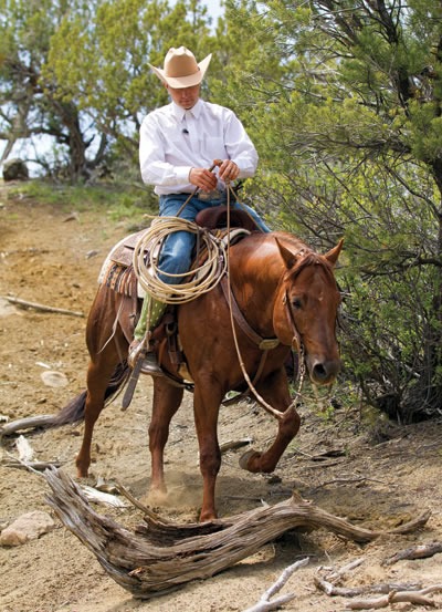 A horse learns to use its feet out in the open, where it may encounter logs, rocks or brush. A horse learns to use its feet out in the open, where it may encounter logs, rocks or brush.