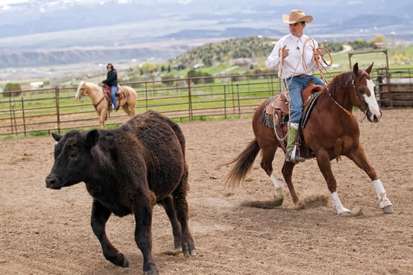 All of Ralston's horses get a chance to turn back cattle in the cutting pen. Reining horses, in particular, benefit from connecting a maneuver, such as a rollback, to a job.