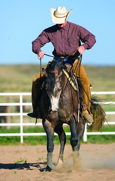 Lifting the reins helps elevate a horse's shoulders while backing. Lifting the reins helps elevate a horse's shoulders while backing.