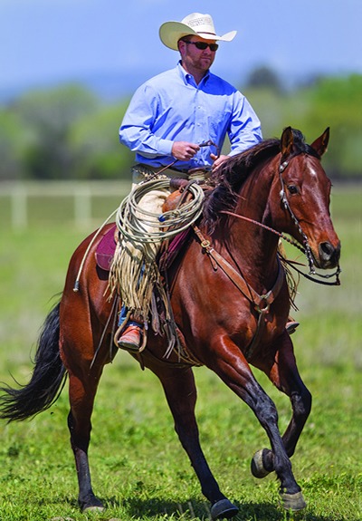 Great Ranch Geldings - George george