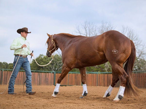 Ask Our Expert - Clinton Anderson - April 2013 - Western Horseman