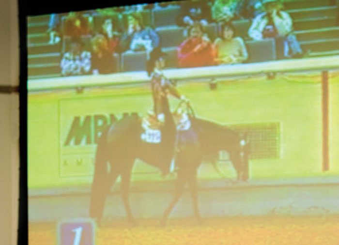 Higher Horseback Education