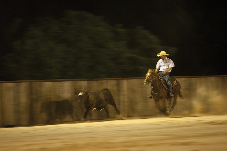 At 3:42, Boyd goes down the fence on Mr Stylish Cat.