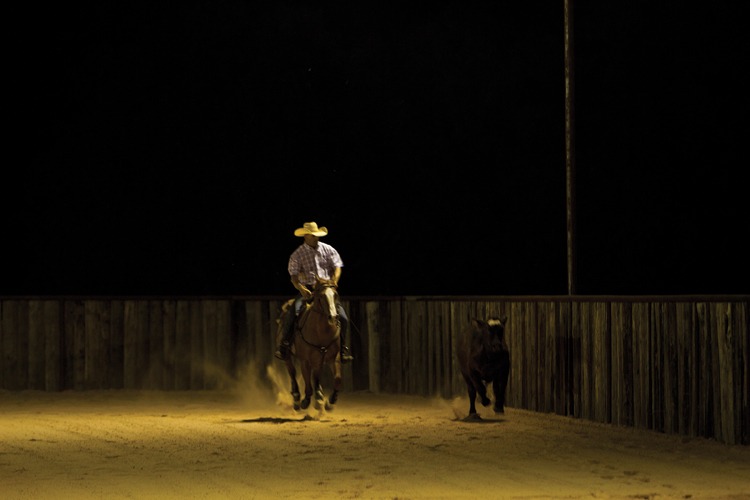 Boyd works with a 3-year-old cow horse prospect by Boonie Tunes.