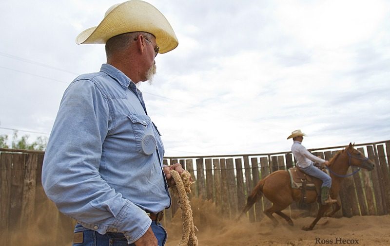 Rod Smith watches assistant trainer Matt Hamm put an early ride on a young colt. For more than 25 years, Smith and Jeff Williams have partnered in a colt-starting business in Post, Texas. The two men continue to train young horses for area ranches and cowboys.