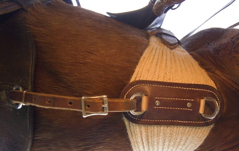 130408 cinch 9329