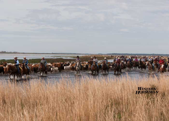 ch FL Cattle Drive 16 IMG 8121