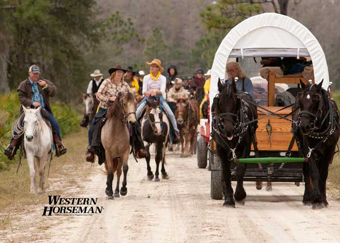 ch FL Cattle Drive 16 IMG 8327