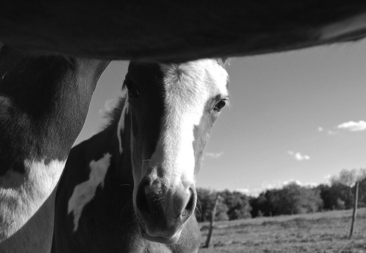 Photo by Kelli Neubert