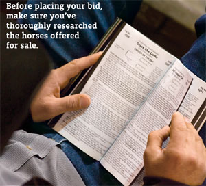 Research Before You Bid
