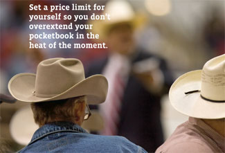 Set A Price Limit
