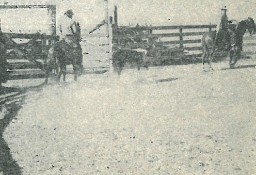 leadingoutsteer