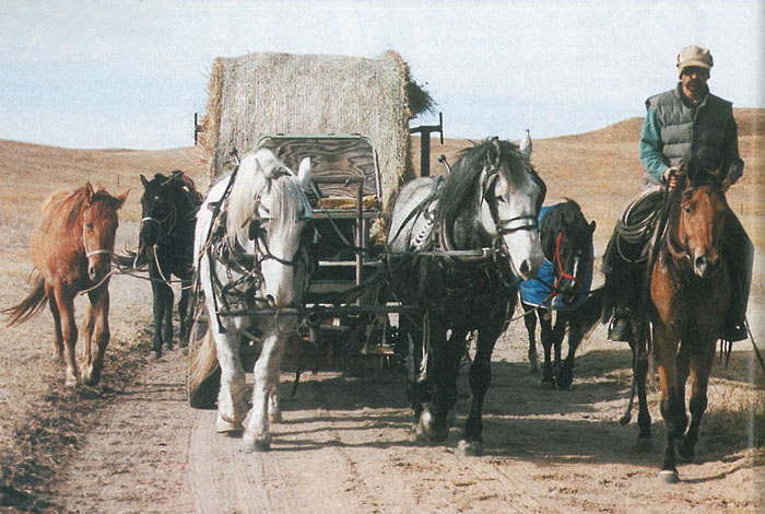 Drivingthewagonteam web