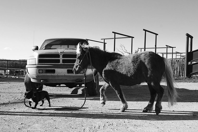 Little critters of all types might be crossing the driveway, so please drive slowly. Photo by Kelli Neubert.