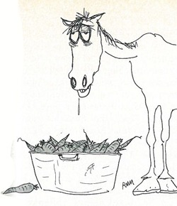 CarrotIllHorse