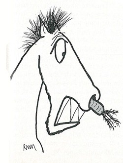 CarrotinNose