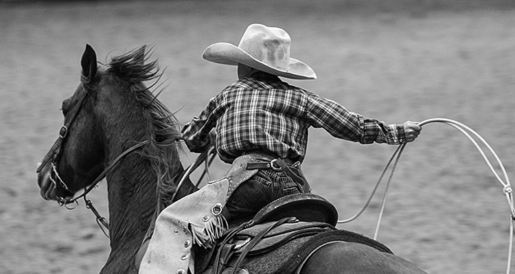 Young cowboy swinging rope and riding horse.