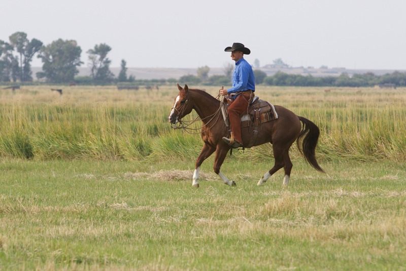 B3A9813 silver spur