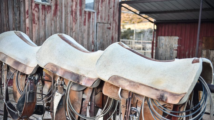 5StarSaddlePadsMultiple