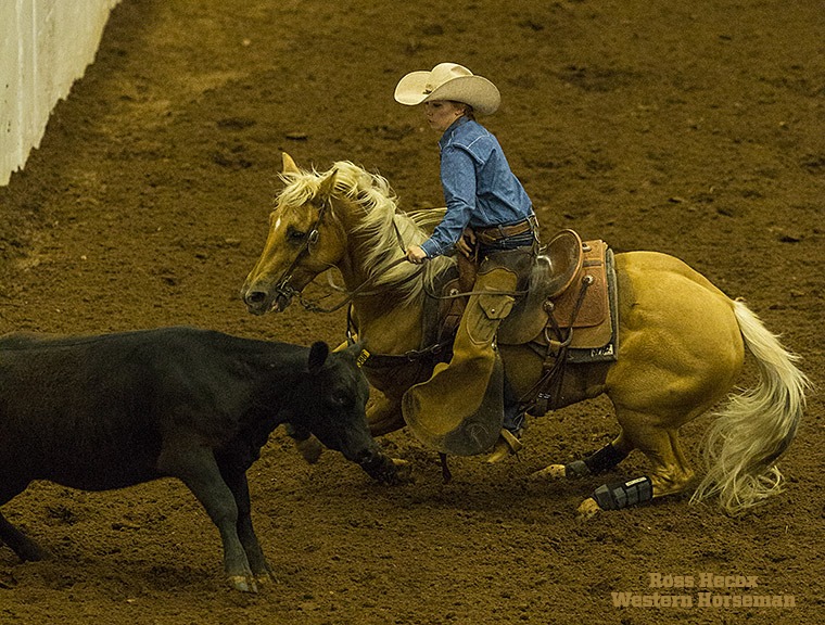 Mary King and Smart & Steadfast turn a cow down the fence in the senior division finals of the RHAA National Finals.