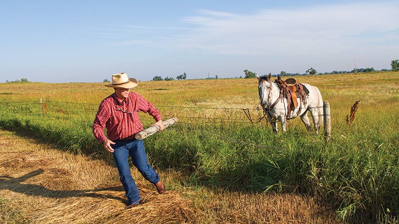 ranch work Thoroughbreds
