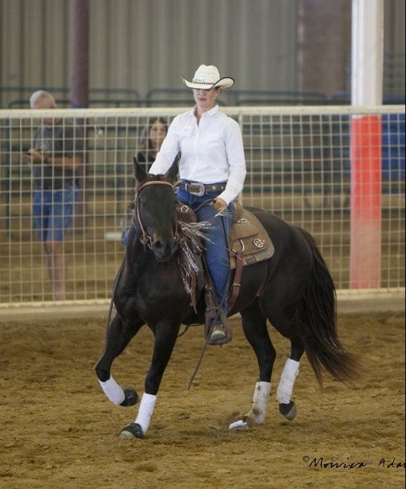 Bluebonnet Equine Humane Society Horse Expo Trainer's Challenge