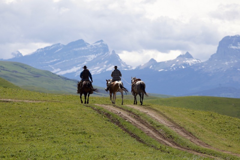 two men riding horses with mountains in the background