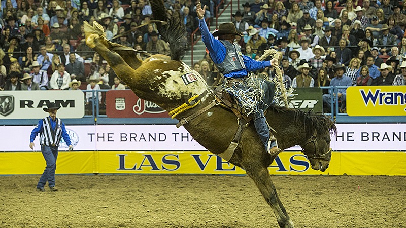 Cort Scheer riding a saddle bronc horse at the NFR