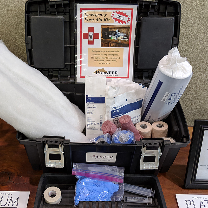 Items to include in equine first aid kit.