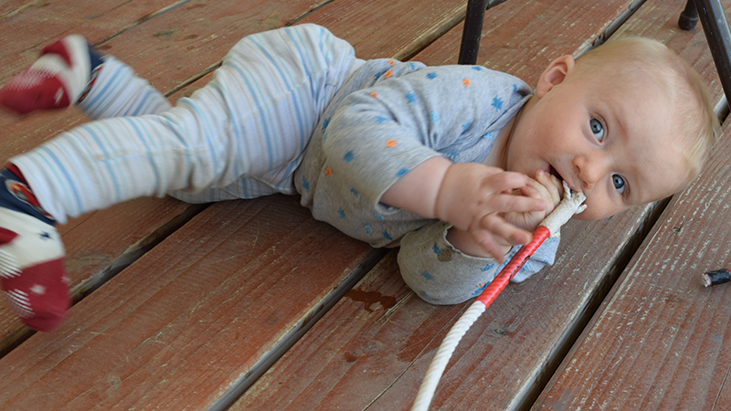 baby chewing on rope