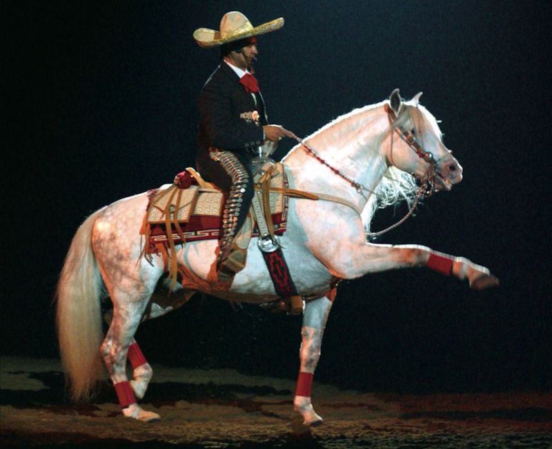 Jerry Diaz riding a grey charro horse