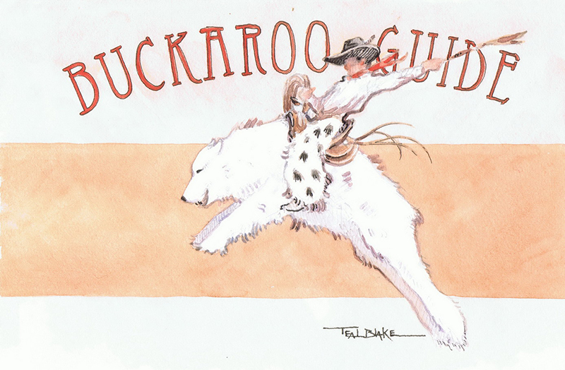 Teal Blake illustrated the image for The Buckaroo Guide by Brenda Negri