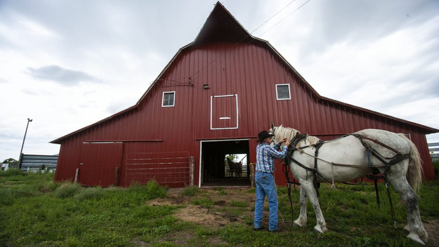 Buck Buckles' ranch features a classic-looking red barn.
