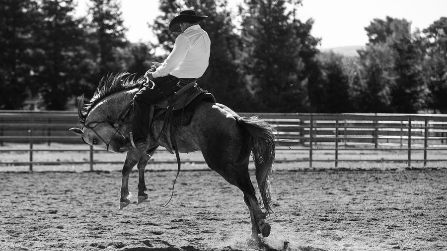 Horsemen and the Western industry can weather the coronavirus storm.