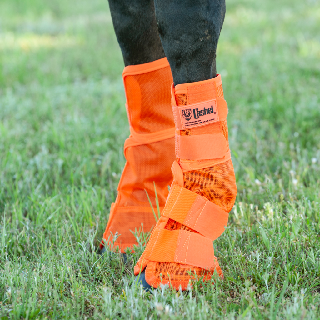 cashel fly boots for horses