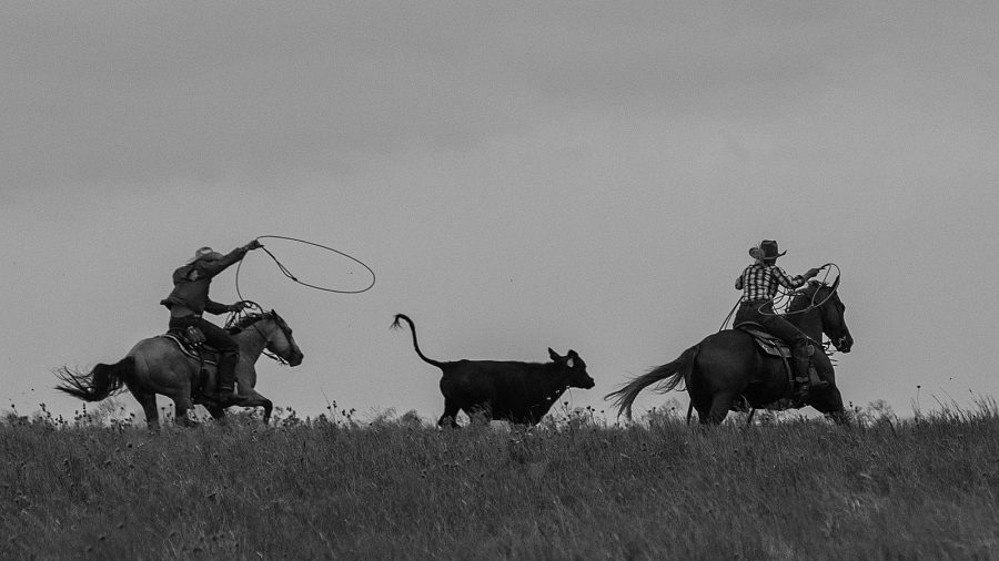 horse people roping in pasture appreciating the little things
