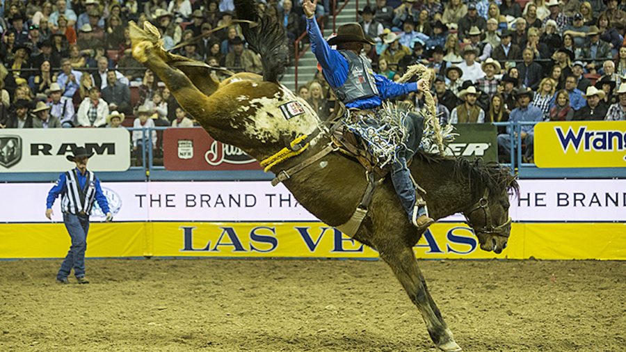 https://westernhorseman.com/mercantile/product-spotlight/ready-to-rodeo/